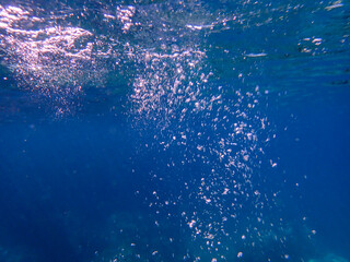 underwater, ocean, sea, water, under, marine, blue, clean, deep, background, clear, surface, diving, sunlight, aquatic, nature, light, abstract, sun, bright, depth, aqua, liquid, summer, pattern.