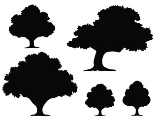 Set of plant and tree silhouette white background