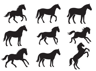 Set of silhouette of horses. Isolated black silhouette  horse on white background