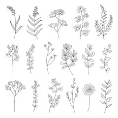 hand drawn outline botanical and floral and leaves line art vector art simple modern style wedding invitation backgrounds and frames, social media stories wallpapers vintage logo stock.