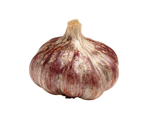 Close-up of a whole head of garlic, with a mix of light and dark purplish-red hues on its bulb