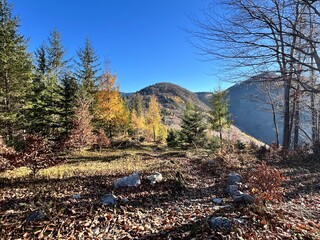 autumn in the Mala Fatra mountains
