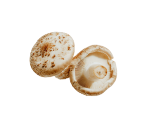 Two halved mushrooms, light beige with brown spots