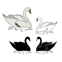 Monochrome hand drawn elegant swan silhouette swimming in water design elements set. Black and white line art water bird vector illustrations bundle