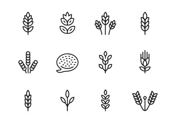 Set of twelve black line art icons featuring wheat stalks and a speech bubble on a white background grain
