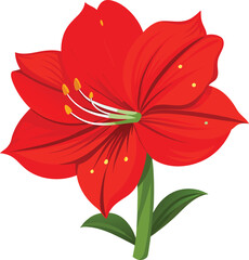 Vibrant red amaryllis flower illustration