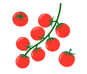 Cherry tomatoes branch. Vegetable icon. Healthy vegetarian food. Hand drawn flat vector illustration isolated on white background