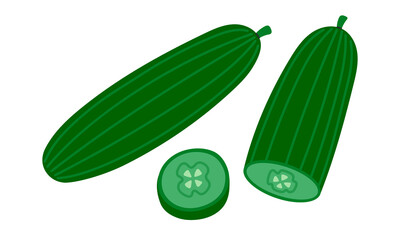 Fresh cucumbers. Whole cucumber, chopped and slice. Vegetable icon. Healthy vegetarian food. Hand drawn flat vector illustration isolated on white background