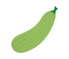 Zucchini. Fresh marrow. Vegetable icon. Healthy vegetarian food. Hand drawn flat vector illustration isolated on white background
