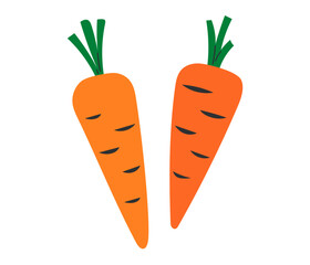 Carrot. Vegetable icon. Healthy vegetarian food. Hand drawn flat vector illustration isolated on white background