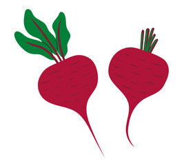 Beetroot. Vegetable icon. Healthy vegetarian food. Hand drawn flat vector illustration isolated on white background
