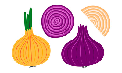Onion set. Red and yellow whole and cut rings onions. Vegetable icon. Healthy vegetarian food. Hand drawn flat vector illustration isolated on white background
