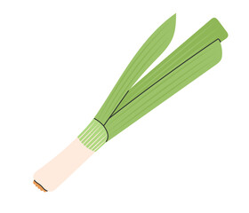 Leek. Vegetable icon. Healthy vegetarian food. Hand drawn flat vector illustration isolated on white background