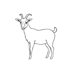 Simple line sketch of a goat standing with a playful expression  
