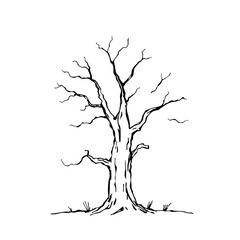 Fototapeta premium Haunted tree sketch representation in black and white 