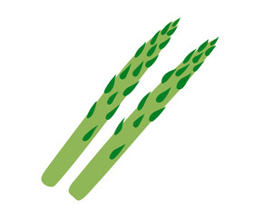 Asparagus. Vegetable icon. Healthy vegetarian food. Hand drawn flat vector illustration isolated on white background