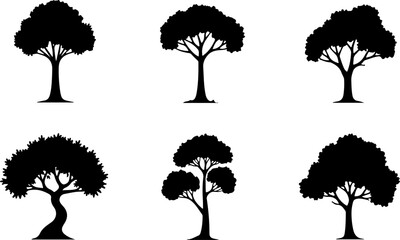 Tree Silhouette Collection – Pine, Fir & Deciduous Tree Icons vector bundle