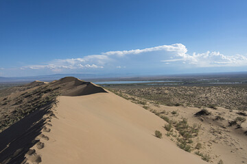 Sandy ridge with footprints and vegetation