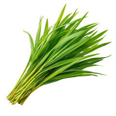 Fototapeta premium Fresh bunch of green leaves are displayed on a transparent background for culinary and food photography use