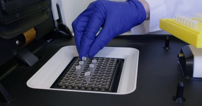 Close-up of a scientist placing small Eppendorf tubes into wells of a PCR machine.