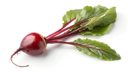 Single beet with green leaves and red veins isolated on a white background in a studio shot