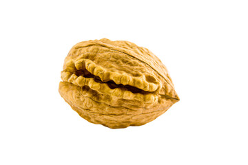 a walnut with a bite taken out of it
