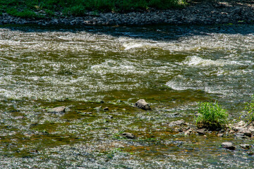 Sunlight sparkles on the clear, moving water of a river. Rocks are partially submerged, creating gentle ripples. Lush greenery borders the riverbank, enhancing the peaceful outdoor atmosphere.
