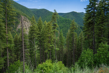 Obraz premium Diamond Lake Trail