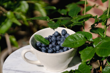A white bowl is filled with ripe blueberries, each berry shining with a deep blue hue. On top lies a fresh mint leaf, adding a bright accent and a fragrant touch to the simple yet elegant composition.