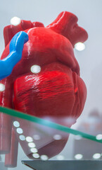 Red object printed on 3D printer. Prototype of the human heart. Model printed on 3D printer from melted plastic close-up. Concept new modern innovation printing technology