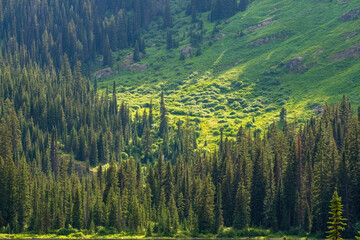 Diamond Lake Trail