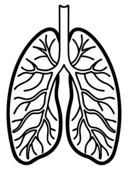 Anatomical diagram of human lungs with detailed structure  on transparent background