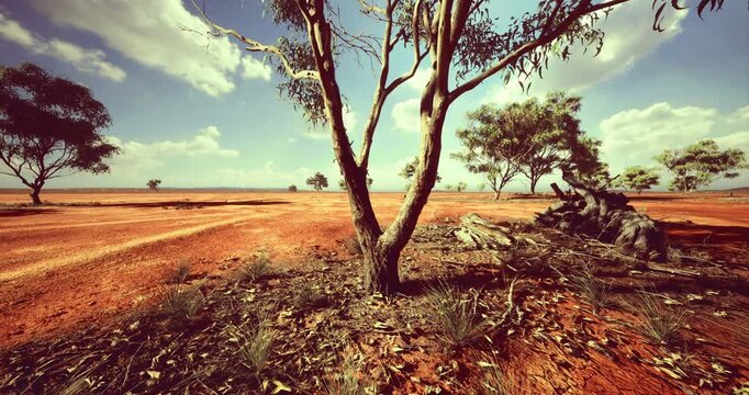 Dry terrain stretches across the landscape, featuring scattered trees under a bright blue sky. The ground is cracked and barren, showcasing the harsh conditions of the Australian outback.