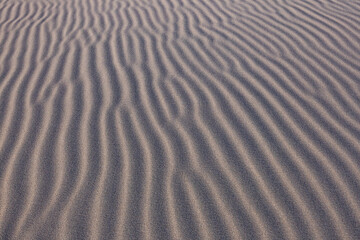 Wind-shaped sand ripples on dune, Kazakhstan