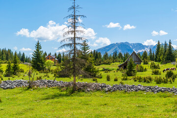 View of a countryside in small village Podgora in Montenegro
