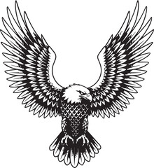 Obraz premium Hand-drawn eagle illustration in monochrome ink style, feathers highly detailed, wings open wide in symmetrical pose, vintage tattoo design,