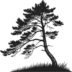 Silhouette of a Pine Tree Bending in the Wind on a Grassy Knoll