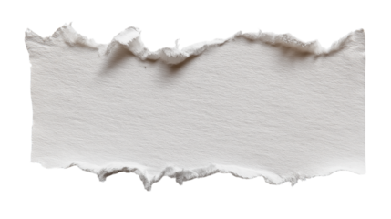 Torn White Paper Texture with Rough Edges Detail