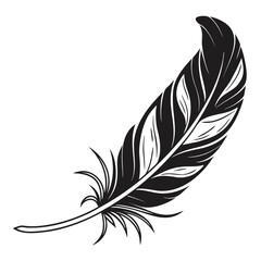 Obraz premium Elegant Black and White Feather Illustration for Design Projects