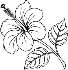 Elegant Black and White Hibiscus Flower Illustration