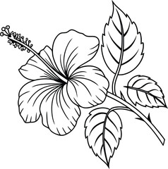 Elegant Black and White Hibiscus Flower Illustration