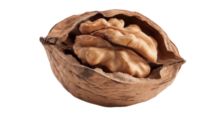 Walnut Shell with Two Halves of Nut on Transparent