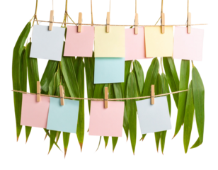 Minimalist Bamboo Leaf Cluster with Hanging Paper Wishes – Zen Style PNG