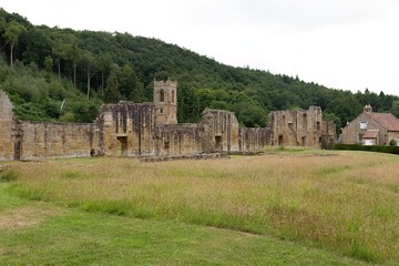  the ruins of an old stone building or castle set against a grassy field and a wooded hillside in Mount Grace Priory - East Harlsey - North Yorkshire - UK