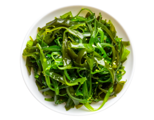 Top View of Curled Green Sea Kelp Floating in Shallow Water Light Patterns, Isolated PNG