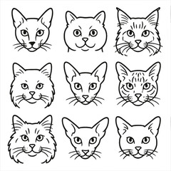 Outline Cat Head Icons. Outline style icons of Cat Head Front View: forward-facing Siamese, staring British Shorthair, attentive