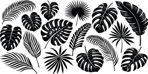 Print ropical leaves vector. Set of palm leaves silhouettes isolated on white background. Vector EPS