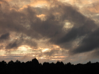 The silhouette of woodland trees under a stormy sky, at sunset. Clouds highlighted by the sun....