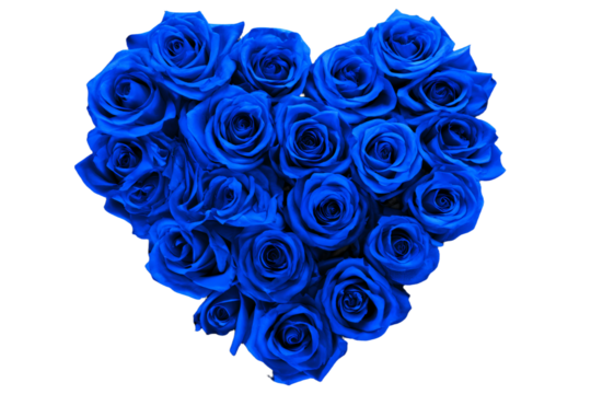 a heart shaped arrangement of blue roses