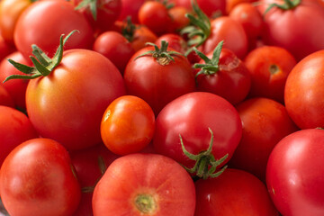 Fresh Red Tomatoes: Vibrant Juicy Produce for Healthy Diet and Home Cooking